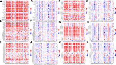 Significance of ZEB2 in the immune microenvironment of colon cancer